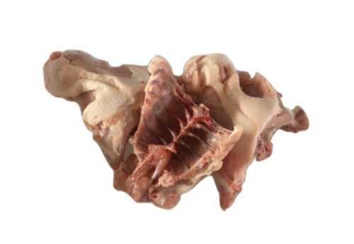 carcasse de poulet chiens chats barf cru ration ménagère belgique