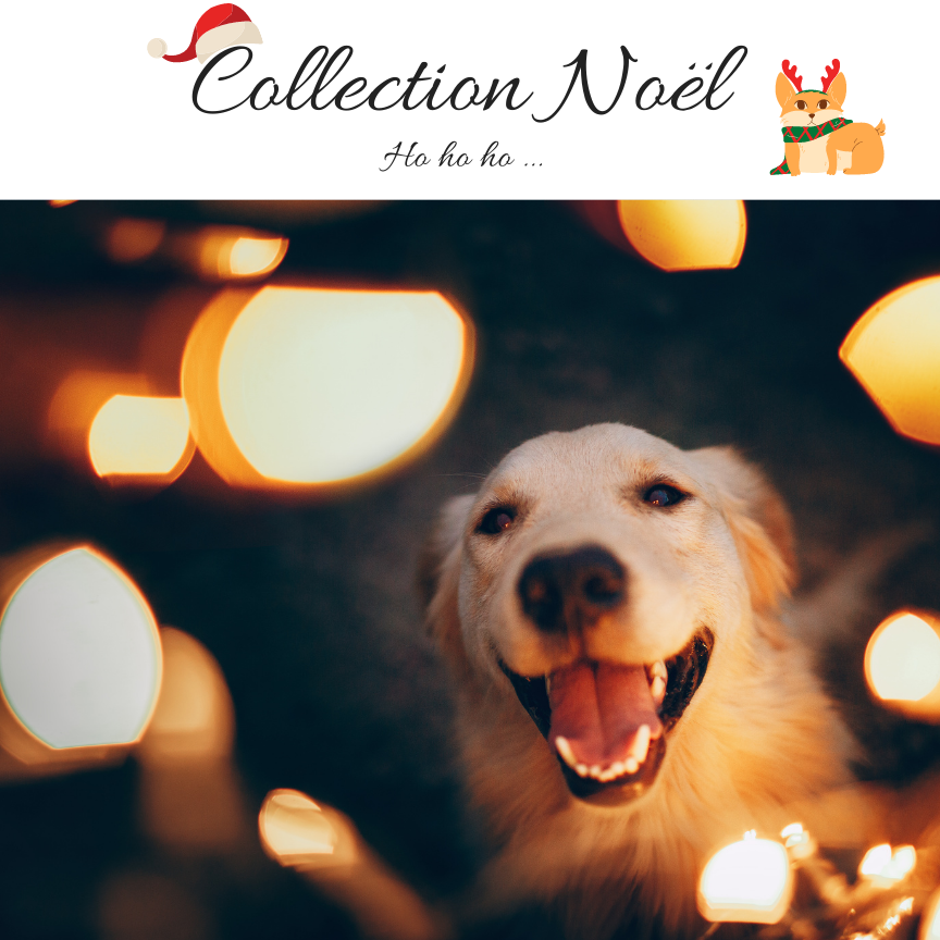 Collection noel - Dog's Kitchen 2022