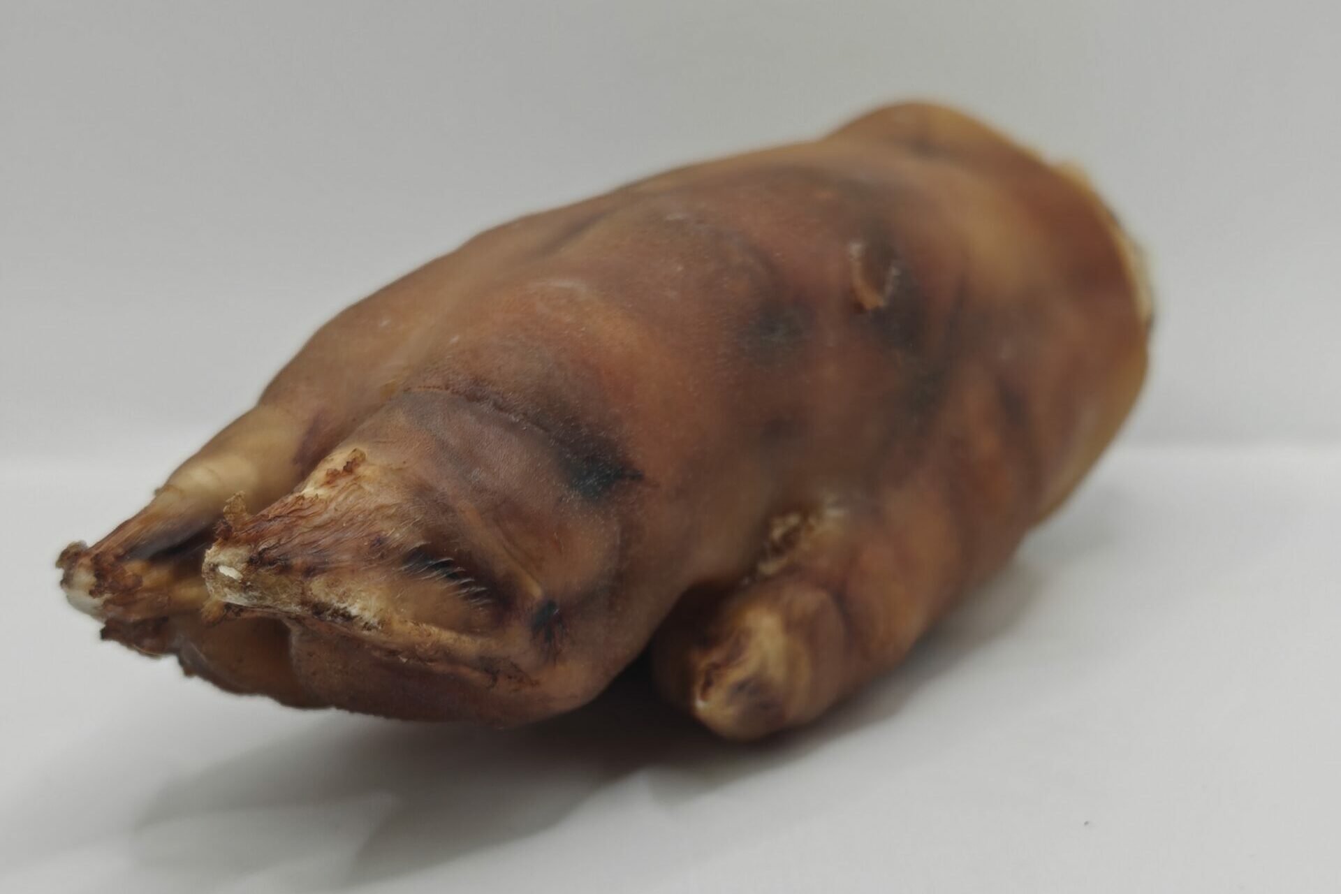 Gambette de porc